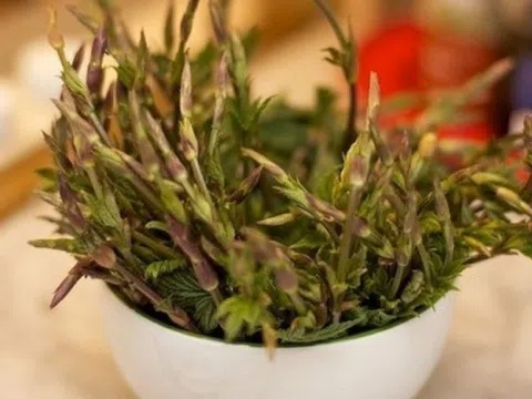 Từng bị xem là phế phẩm, loại rau này hiện có giá trị cao nhất thế giới: Người giàu sẵn sàng chi đến 40 triệu đồng cho 1kg