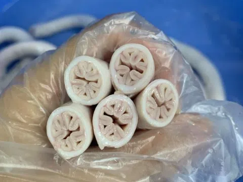 Lòng se điếu đông lạnh được rao bán trên mạng xã hội với giá không tưởng: 225 nghìn/1 thùng 10kg