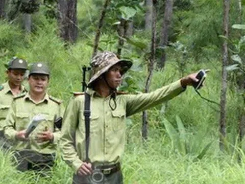 Vụ nhân viên bảo vệ rừng tử vong do bị bò tót tấn công: Nỗi đau và lời cảnh tỉnh