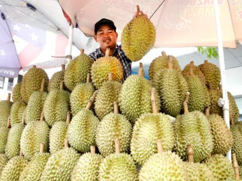 'Hàng xóm' của Việt Nam vừa chính thức gia nhập thị trường sầu riêng Trung Quốc: Quan chức gọi đây là 'thời khắc lịch sử', sản lượng ra sao so với các đối thủ?