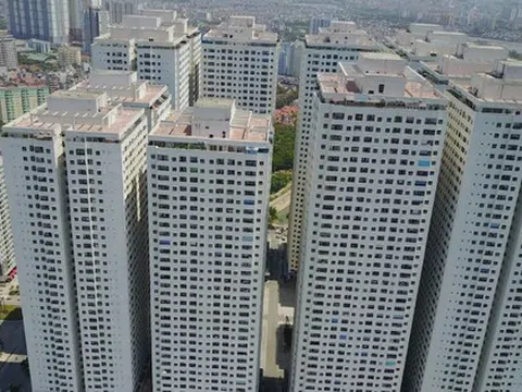 Trước thềm đại hội, con gái Chủ tịch Hoàng Quân đăng ký mua 25 triệu cổ phiếu