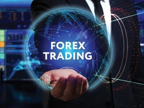 NHNN nói gì về các sàn Forex đang hoạt động tại Việt Nam?