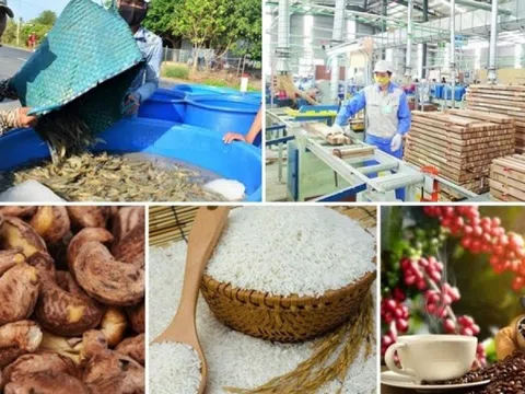 Không phải gạo hay tôm: Đây mới là 'vua nông sản Việt', thu về 3,8 tỷ USD trong 4 tháng