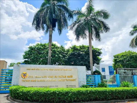 Một công ty cao su báo lãi quý I/2025 tăng 95% nhờ bán chuối