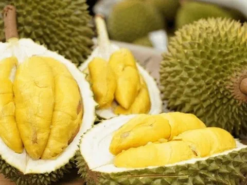 Rào cản khiến sầu riêng Việt 'mắc cạn' ở cửa khẩu Trung Quốc