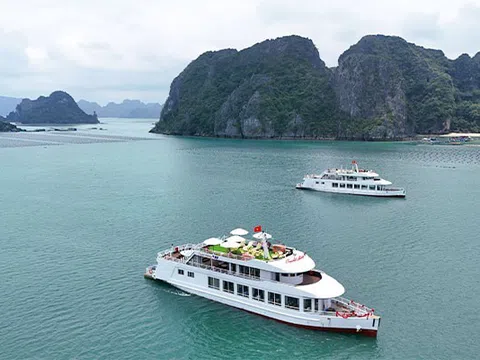 Khai trương đội tàu du lịch cao cấp trên Vịnh Bái Tử Long