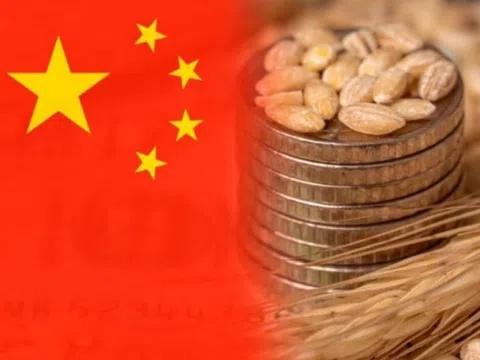 Trong vài tuần gần đây, Trung Quốc đã âm thầm thu gom hàng trăm nghìn tấn lúa mì và lúa mạch