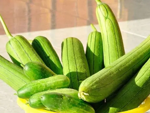 Loại quả được ví như 'nhân sâm của người nghèo', giá rẻ, bán chạy khắp chợ Việt vào mùa hè