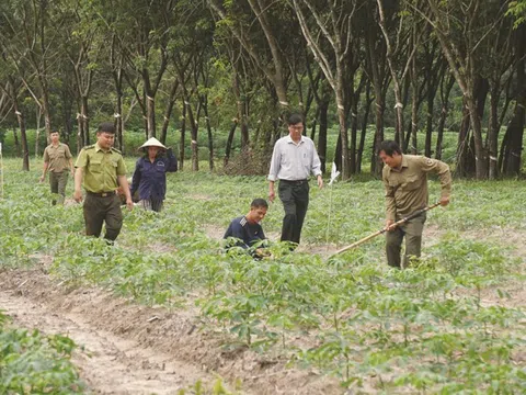 Vietcap khởi động dự án cộng đồng "Go Green Go Up"