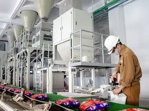 Hóa chất Đức Giang ‘rót’ thêm 500 tỷ đồng vào công ty con kinh doanh bất động sản