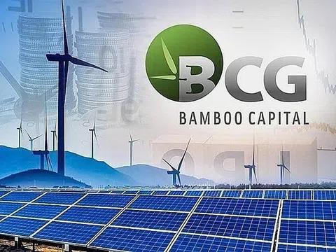 Bamboo Capital có Tổng Giám đốc mới