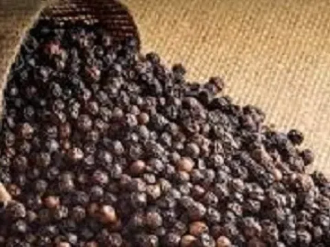 Một 'mỏ vàng' đắt đỏ của Việt Nam được Mỹ, Trung Quốc cực kỳ ưa chuộng: Thu về 510,6 triệu USD kể từ đầu năm
