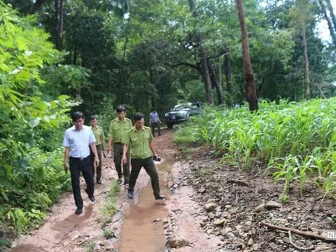 Dự án Hồ chứa nước Ka Pét khi nào về đích?