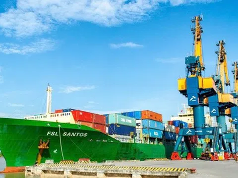 Viconship ‘gom’ thêm hơn 2,4 triệu cổ phiếu Xếp dỡ Hải An