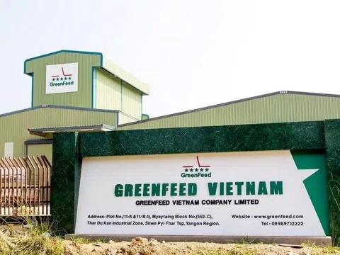 "Đại gia" chăn nuôi Long An đột ngột báo lãi kỷ lục 2.100 tỷ đồng, vượt mặt Dabaco, nông nghiệp Hoà Phát, BAF