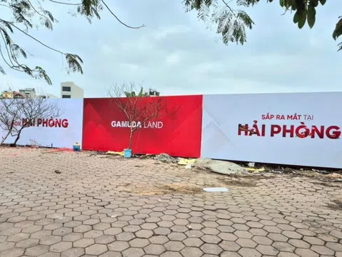 Hải Phòng chuyển 10.000 m2 đất trồng lúa sang phi nông nghiệp để xây công trình thương mại, giao cho doanh nghiệp nội liên quan Gamuda Land