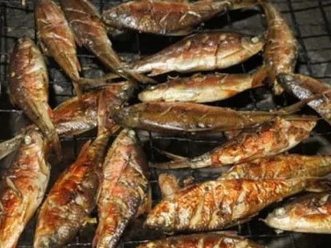 Đặc sản sống trong khe đá, từng bị bỏ quên nay thành 'hàng hiếm' phố thị, giá tới 400.000 đồng/kg