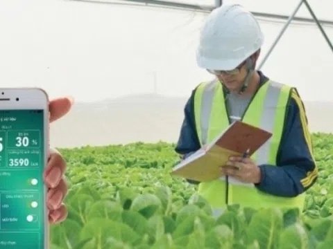 Ngành học không lo thất nghiệp, thị trường luôn khát nhân lực: Ra trường 'hái ra tiền', dễ khởi nghiệp