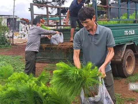 Gia Lai: Kiến tạo sinh kế từ “lá phổi xanh” Tây Nguyên