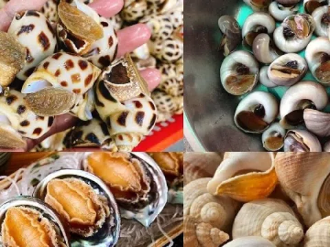 'Vàng dưới biển' Việt Nam gây sốt tại Trung Quốc: Xuất khẩu tăng dựng đứng gần 2.000%, thu về hàng chục triệu USD
