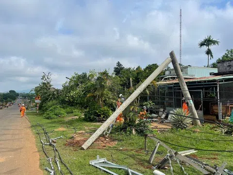 Thông tin mới vụ hàng loạt trụ điện ở Gia Lai gãy đổ