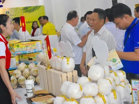 Khan hàng loại quả xuất khẩu tỉ USD, giá tăng mạnh