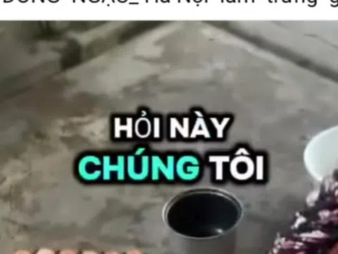 Hiệp hội Gia cầm Việt Nam lên tiếng về thông tin "trứng gà giả"