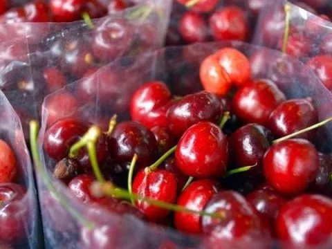 Giá 600.000 đồng/kg, một loại cherry Trung Quốc đang hạ knock-out đối thủ Mỹ - Úc