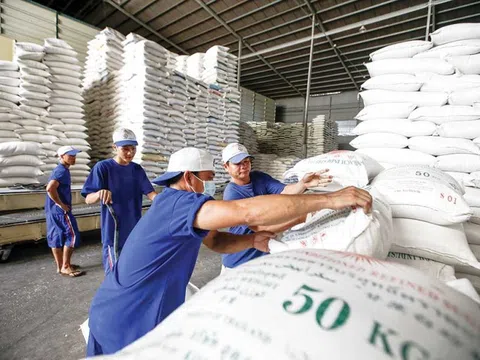 Đề xuất quy định mới về kinh doanh xuất khẩu gạo