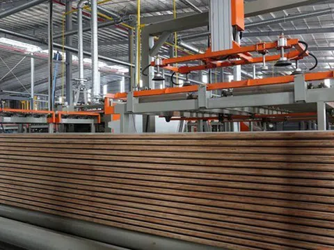 Tỷ phú Trần Đình Long bắt đầu sản xuất một sản phẩm mới toanh, mục tiêu 2030 đứng top 3 doanh nghiệp lớn nhất cả nước