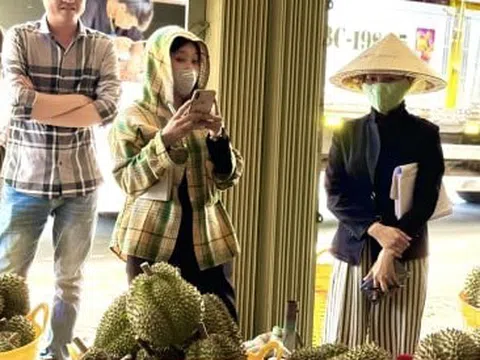 Chuyên gia 'vạch trần' cách cadimi âm thầm 'đầu độc' ngành sầu riêng