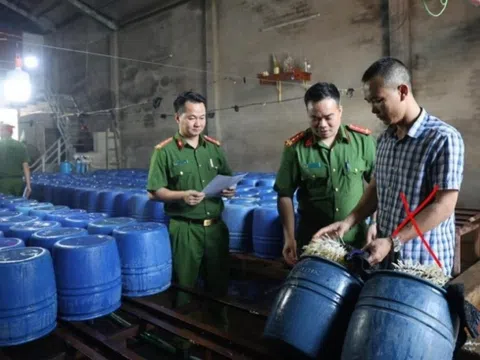 Bắc Giang: Khởi tố chủ cơ sở sản xuất 60 tấn giá đỗ dùng 6-Benzylaminopurine kích thích tăng trưởng