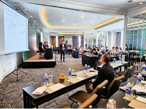 DCDE chia cổ tức tiền mặt 2 năm liên tiếp, DCDS tập trung cơ cấu danh mục