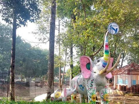 Hình ảnh công viên lớn nhất Bình Dương đang ‘lột xác’ trước khi về với TPHCM