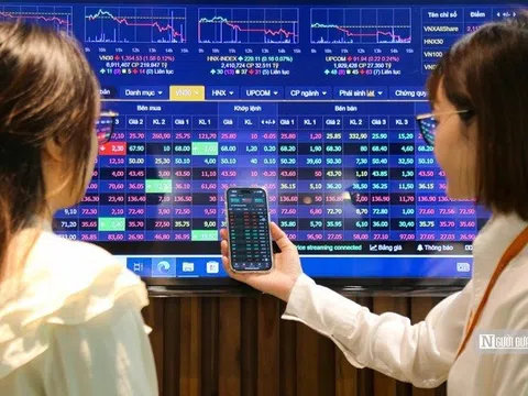 Quỹ đầu tư: Thuốc “giảm đau” cho nhà đầu tư ít kinh nghiệm