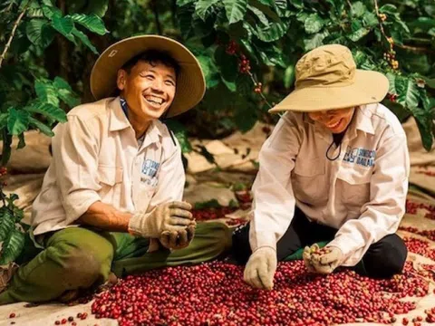 Một quốc gia Đông Nam Á đặt mục tiêu vượt Việt Nam, vươn lên vị trí thứ hai thế giới về sản xuất cà phê