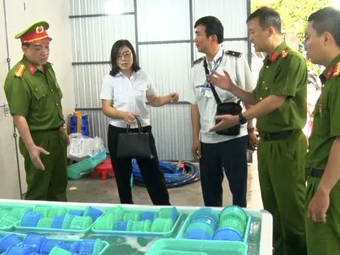 Khánh Hòa tiêu hủy gần 850.000 con tôm hùm