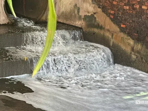 Kết quả kiểm tra nguồn nước nổi bọt trắng xoá, mùi hôi nồng nặc chảy ra suối Bà Lúa