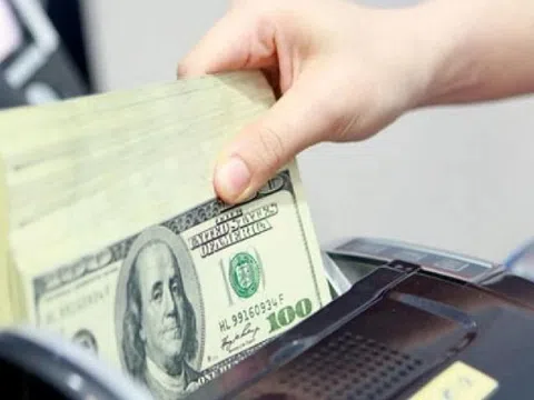 Kho bạc Nhà nước muốn mua 100 triệu USD từ NHTM