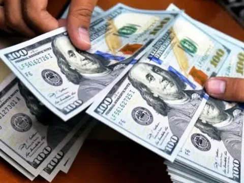NHNN đề xuất phạt nặng hành vi mua bán ngoại tệ trái pháp luật