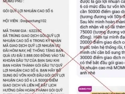 'Sập bẫy' đầu tư MoMo Pro giả mạo, người đàn ông ở Hà Nội mất hơn 300 triệu