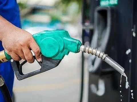 Một doanh nghiệp xăng dầu chuẩn bị trả cổ tức "khủng" bằng tiền mặt, cổ phiếu neo đỉnh lịch sử