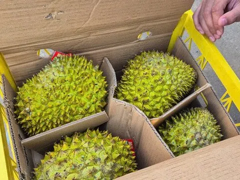Sầu riêng vừa đón tin vui từ Trung Quốc