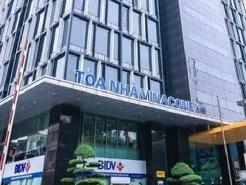 Vinaconex sắp chi gần 479 tỷ đồng trả cổ tức năm 2024