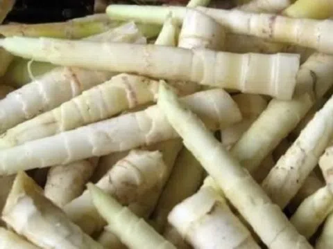Đặc sản Tây Nguyên xưa không ai biết, giờ nổi tiếng khắp nơi nhờ hương vị lạ: Giá cao ngất, khách sành ăn săn lùng