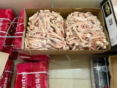 Chặn đứng hơn 3 tạ tim lợn, đuôi bò, chân gà đông lạnh không rõ nguồn gốc tại thành phố Thái Bình