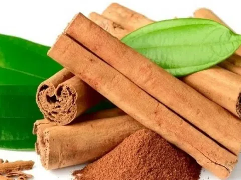 Hàng nghìn tấn vỏ cây quý từ Indonesia vừa đổ bộ Việt Nam: Tiếp sức cho ngành xuất khẩu 'tỏa sáng' trên bản đồ thế giới