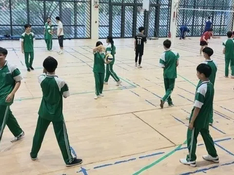 Những ngành nghề được tuyển lao động dưới 13 tuổi theo luật Việt Nam