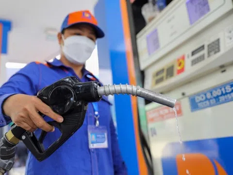 Nợ thuế 320 tỷ đồng, doanh nghiệp xăng dầu này đứng trước lệnh cưỡng chế