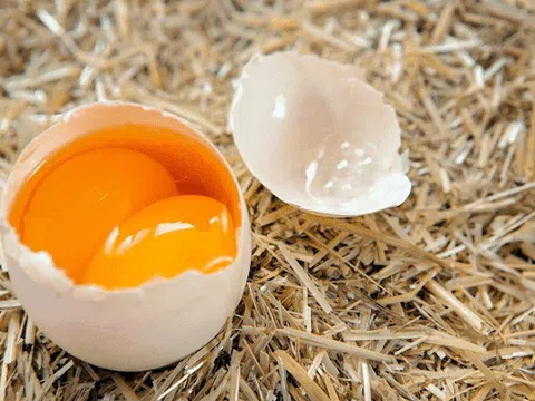 Đề nghị Bộ Công an điều tra, xử lý tin đồn trứng giả gây hoang mang